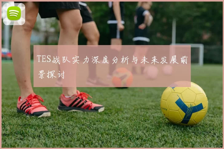 TES战队实力深度分析与未来发展前景探讨