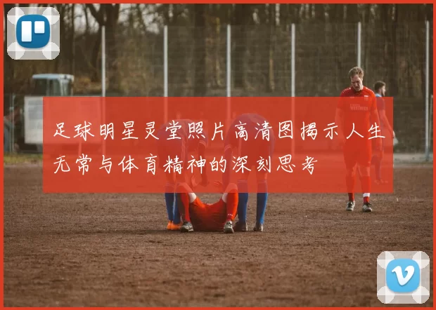 足球明星灵堂照片高清图揭示人生无常与体育精神的深刻思考