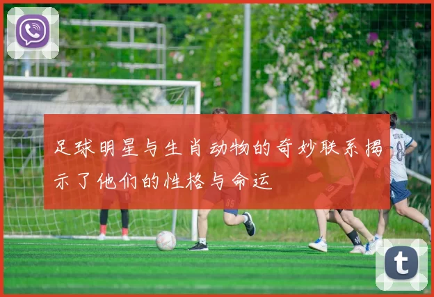 足球明星与生肖动物的奇妙联系揭示了他们的性格与命运