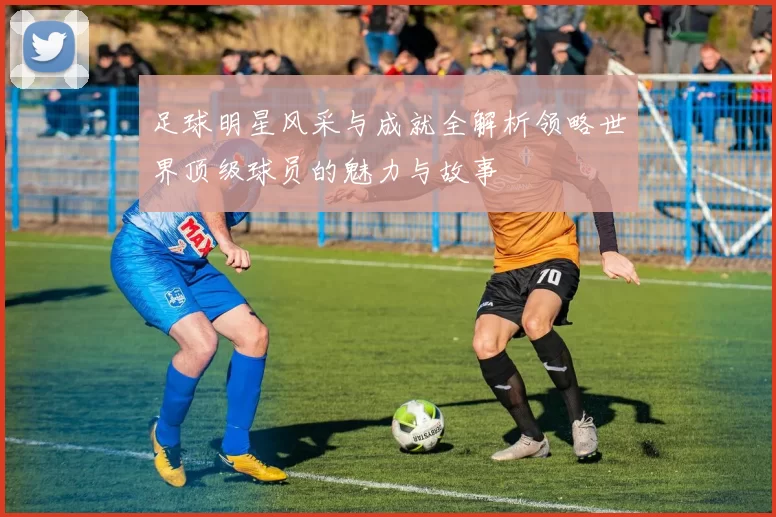 足球明星风采与成就全解析领略世界顶级球员的魅力与故事
