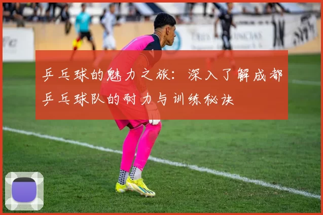 乒乓球的魅力之旅：深入了解成都乒乓球队的耐力与训练秘诀
