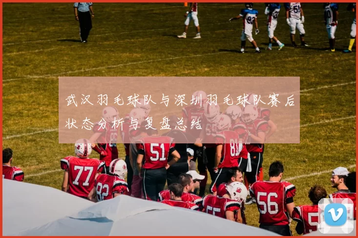 武汉羽毛球队与深圳羽毛球队赛后状态分析与复盘总结