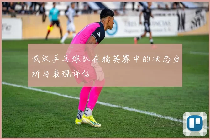 武汉乒乓球队在精英赛中的状态分析与表现评估