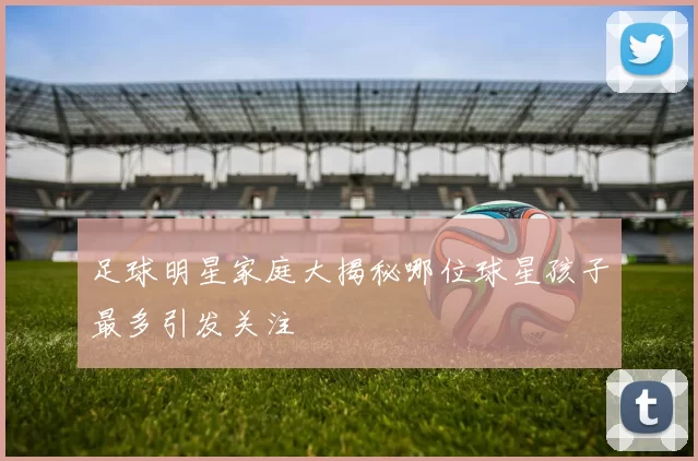足球明星家庭大揭秘哪位球星孩子最多引发关注