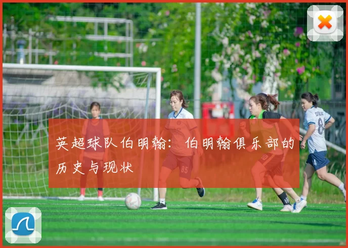 英超球队伯明翰：伯明翰俱乐部的历史与现状