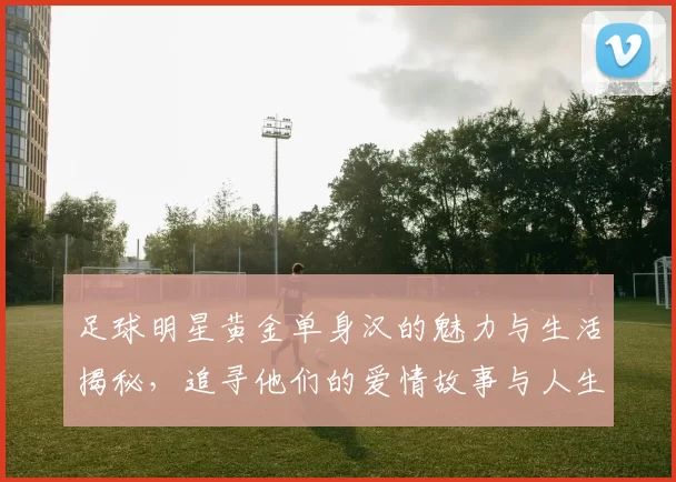 足球明星黄金单身汉的魅力与生活揭秘，追寻他们的爱情故事与人生选择