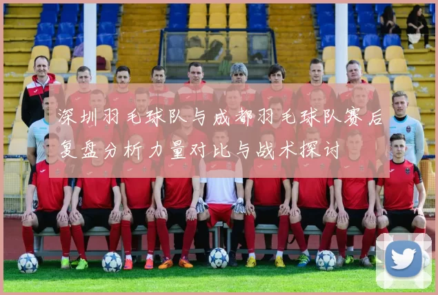 深圳羽毛球队与成都羽毛球队赛后复盘分析力量对比与战术探讨