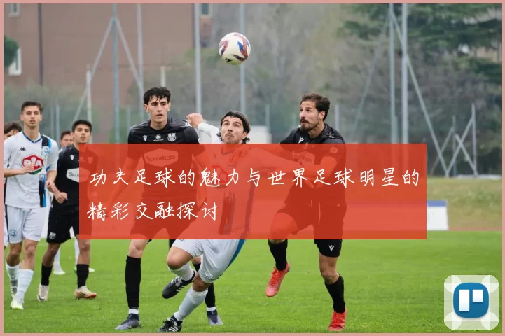 功夫足球的魅力与世界足球明星的精彩交融探讨