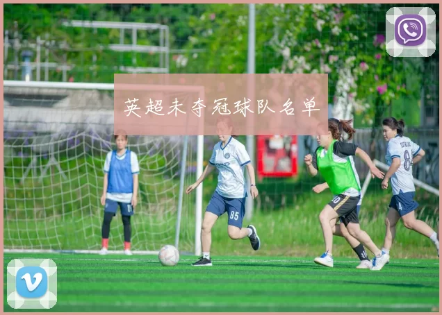 英超未夺冠球队名单