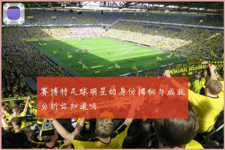 赛博特足球明星的身份揭秘与成就分析你知道吗