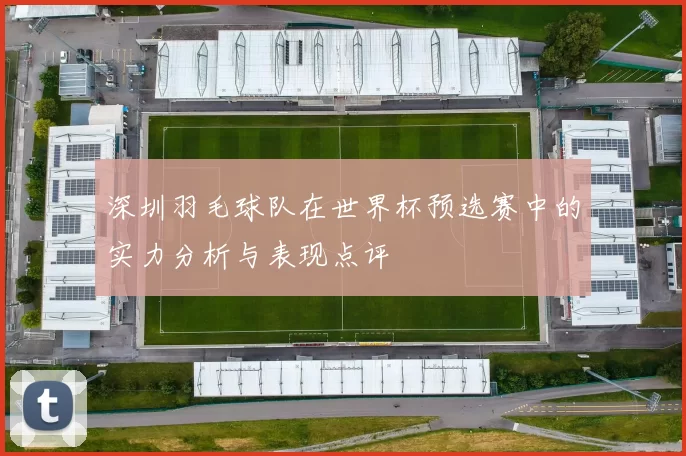 深圳羽毛球队在世界杯预选赛中的实力分析与表现点评