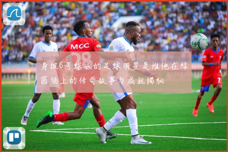 身披6号球衣的足球明星是谁他在绿茵场上的传奇故事与成就揭秘