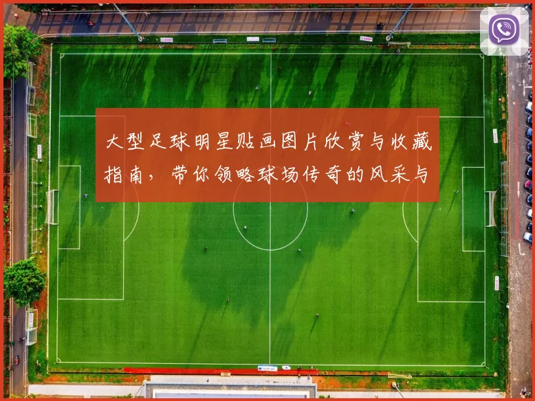大型足球明星贴画图片欣赏与收藏指南，带你领略球场传奇的风采与魅力