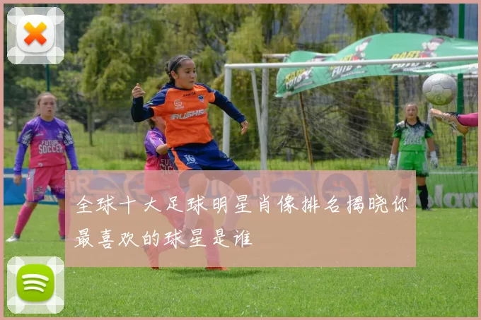 全球十大足球明星肖像排名揭晓你最喜欢的球星是谁