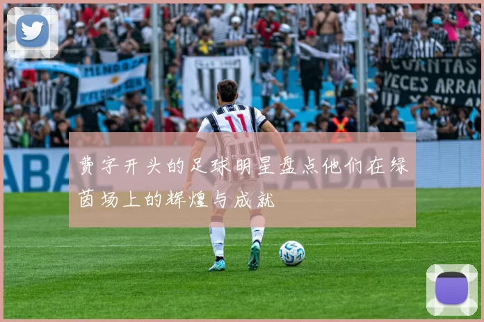 费字开头的足球明星盘点他们在绿茵场上的辉煌与成就