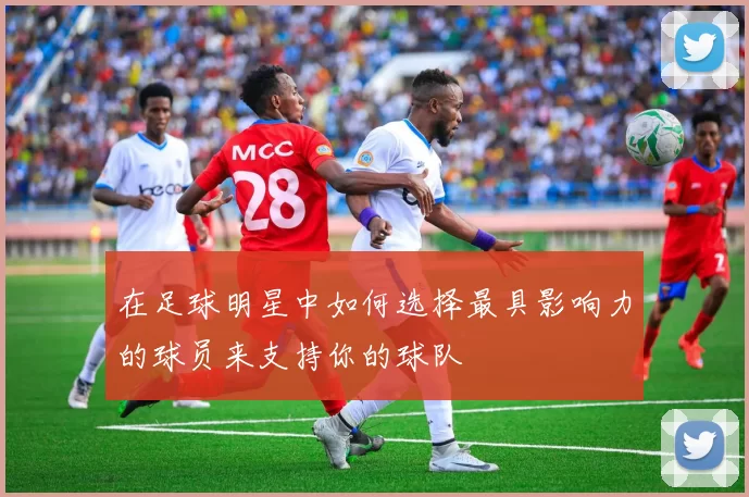 在足球明星中如何选择最具影响力的球员来支持你的球队