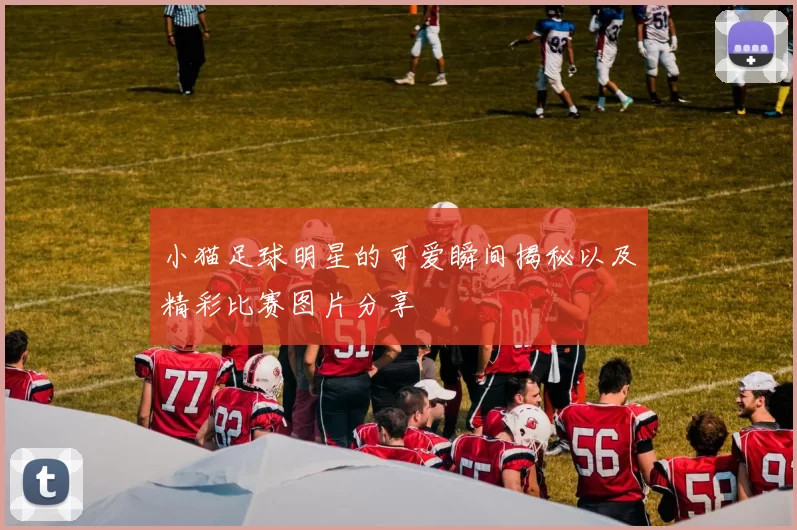 小猫足球明星的可爱瞬间揭秘以及精彩比赛图片分享