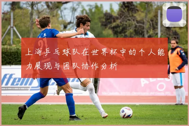 上海乒乓球队在世界杯中的个人能力展现与团队协作分析