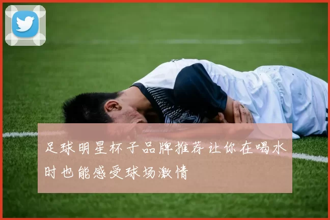 足球明星杯子品牌推荐让你在喝水时也能感受球场激情