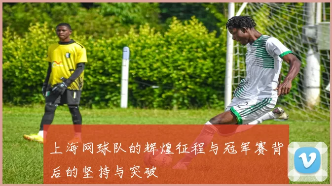 上海网球队的辉煌征程与冠军赛背后的坚持与突破