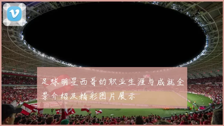 足球明星西哥的职业生涯与成就全景介绍及精彩图片展示